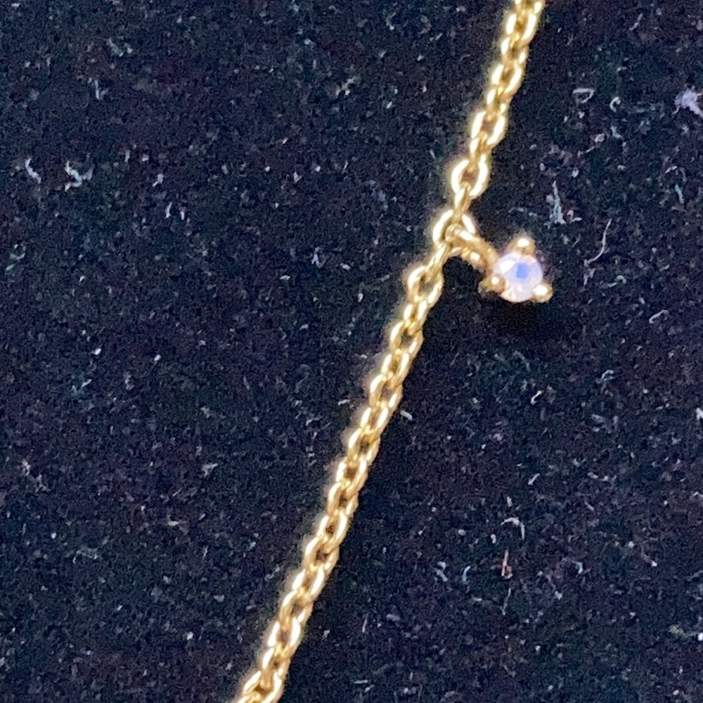 Gorjana Anklet - image 6